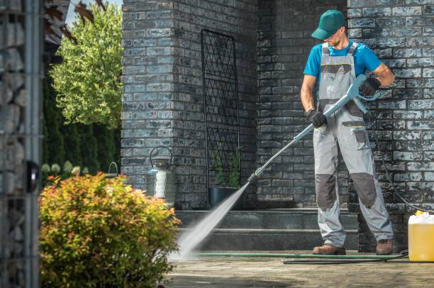 Boat and Dock Cleaning in Temple Terrace, FL